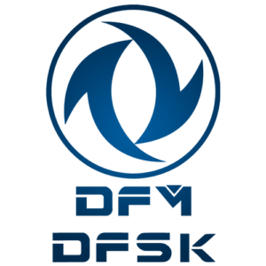 DFM-DFSK